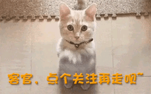 一中产最爱的电商平台停运曾叫板淘宝！AG旗舰厅网站烧光3000万美元！又(图4)