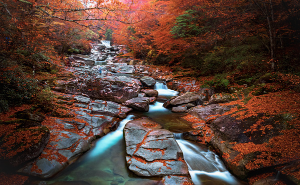 全国赏秋地图 来一场从北至南的追秋之旅AG旗舰厅最新版出发吧!跟着2025(图3) 全国赏秋地图 来一场从北至南的追秋之旅AG旗舰厅最新版出发吧!跟着2025(图3)